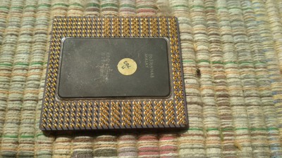 IMG_20200706_112528.jpg