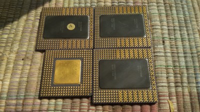 IMG_20200708_144544.jpg